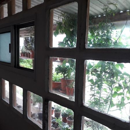 Hostel La Cruz Del Surラ・パロマ エクステリア 写真