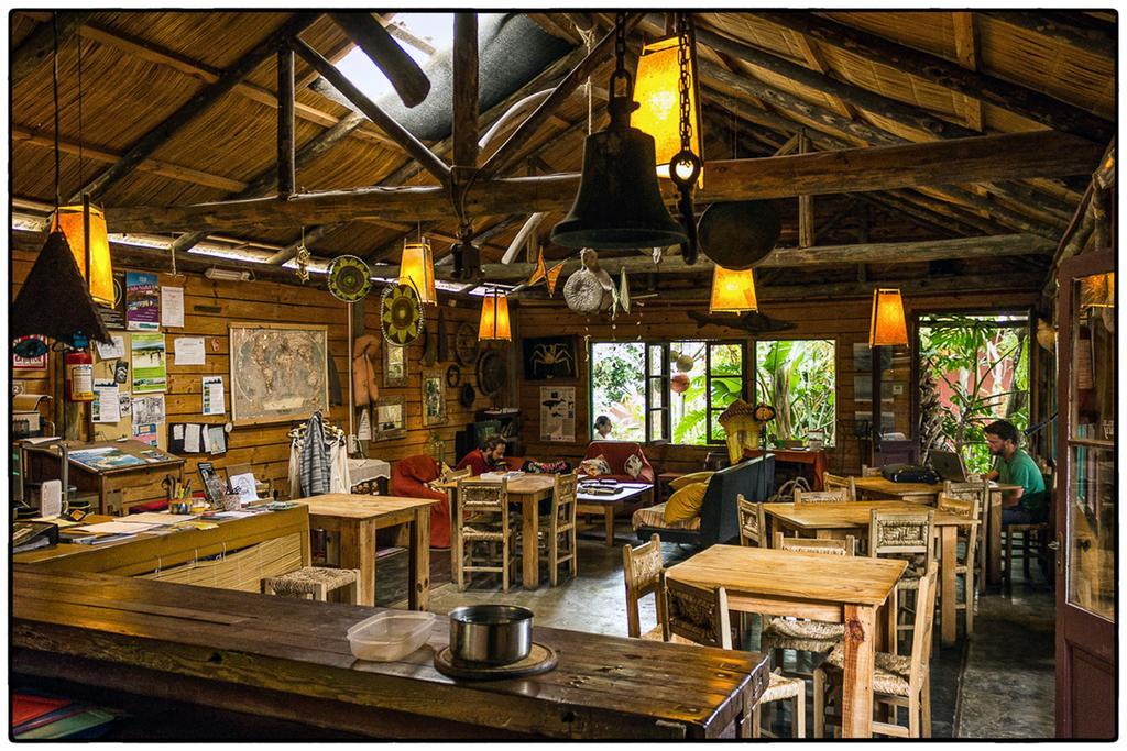 Hostel La Cruz Del Surラ・パロマ エクステリア 写真