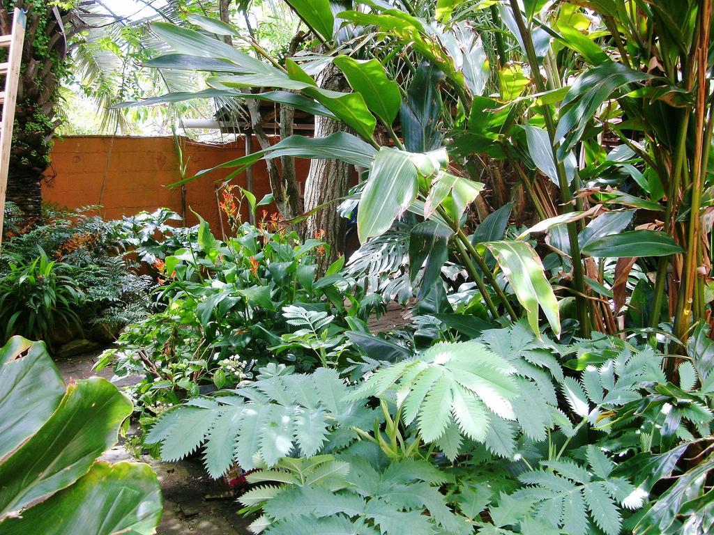 Hostel La Cruz Del Surラ・パロマ エクステリア 写真