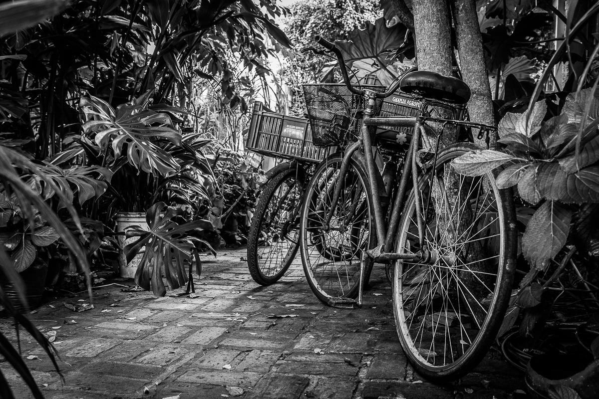 Hostel La Cruz Del Surラ・パロマ エクステリア 写真