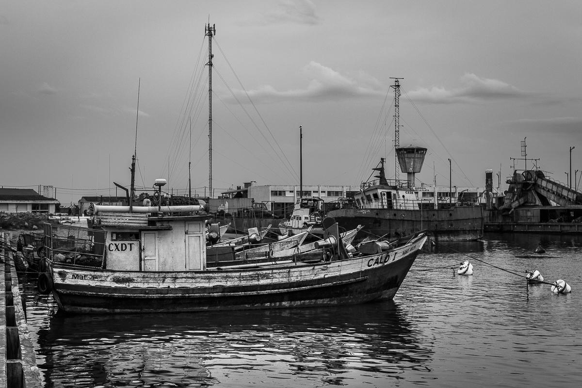Hostel La Cruz Del Surラ・パロマ エクステリア 写真