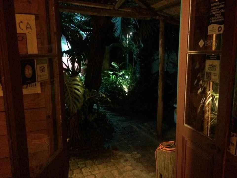 Hostel La Cruz Del Surラ・パロマ エクステリア 写真
