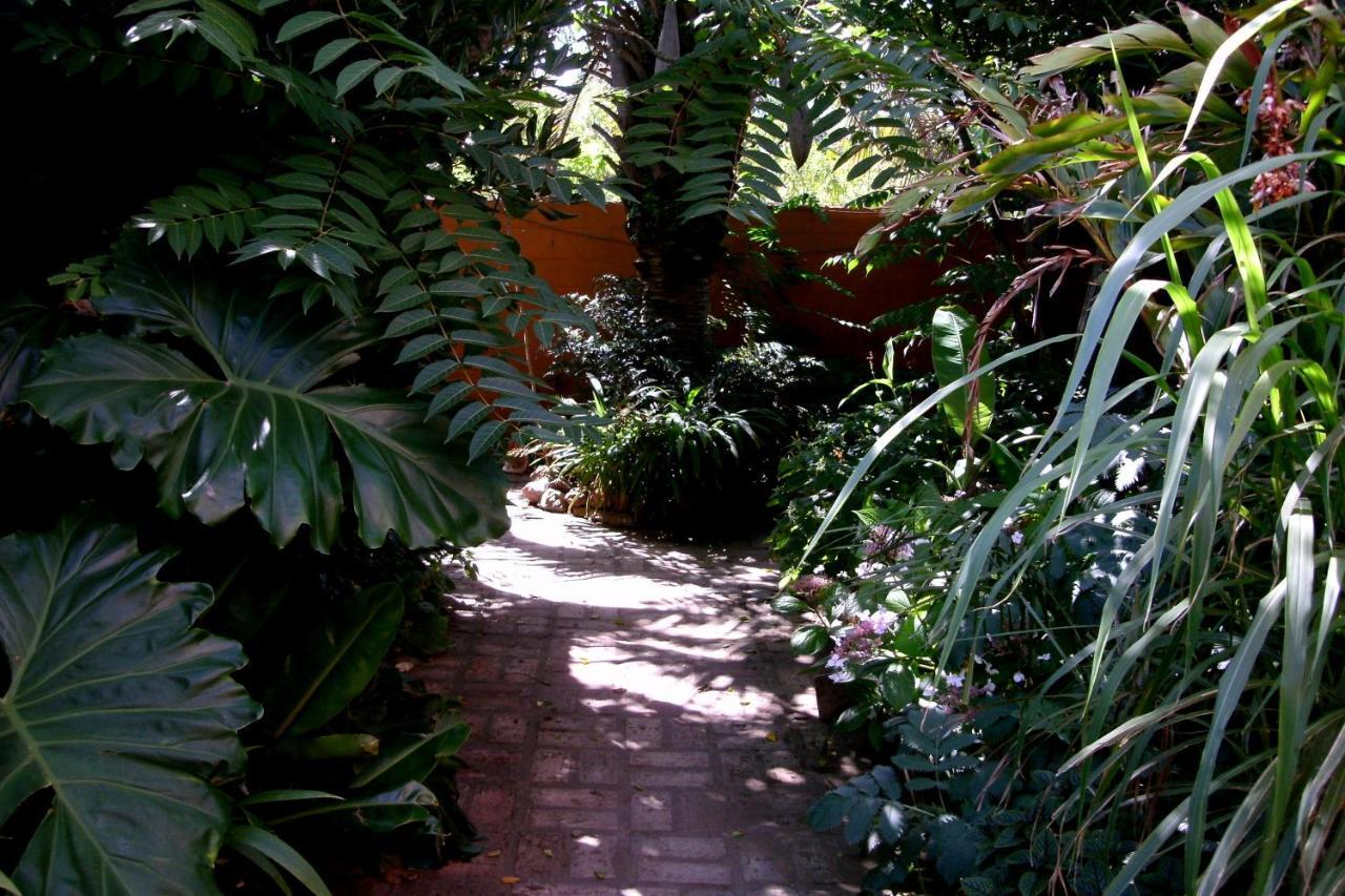 Hostel La Cruz Del Surラ・パロマ エクステリア 写真